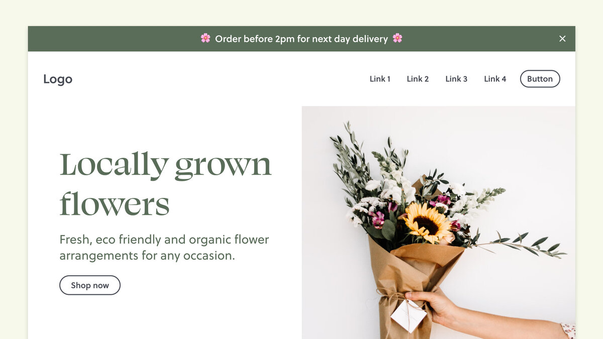 Announcement bar across the top of a WordPress site above the header
