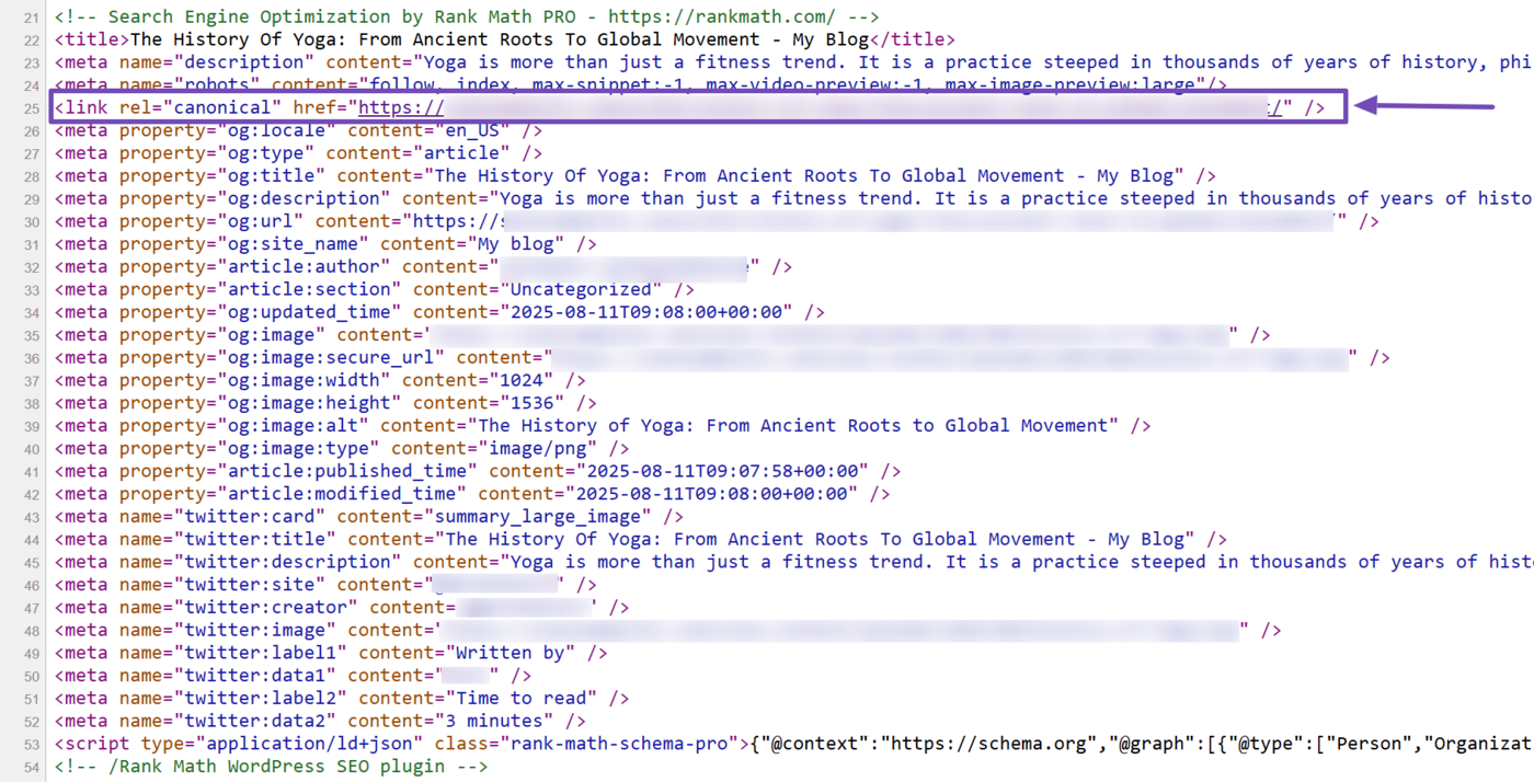 WordPress page source showing robots meta tag and canonical link for SEO checks