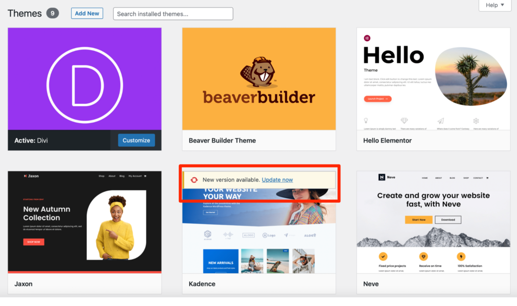 WordPress Themes screen showing a theme update available notice