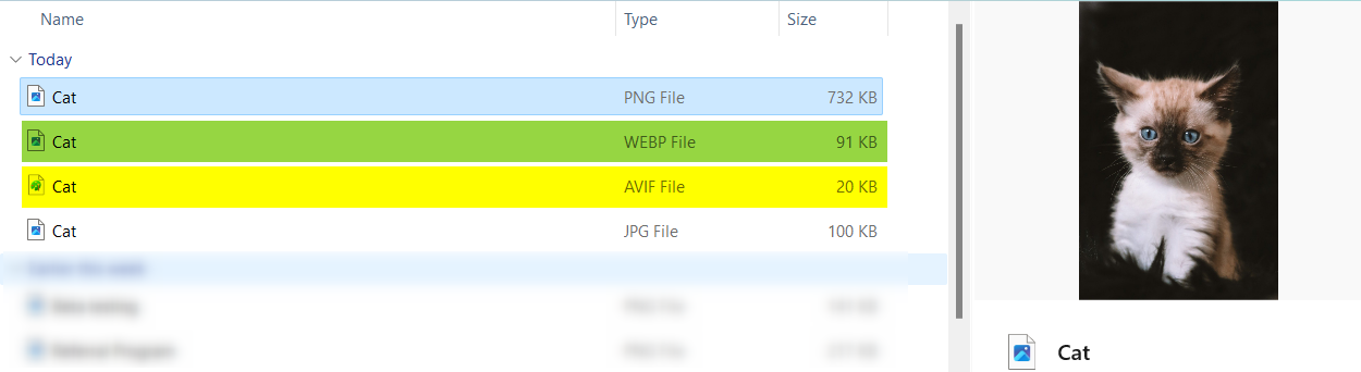 WordPress Media Library showing JPEG originals alongside WebP and AVIF copies