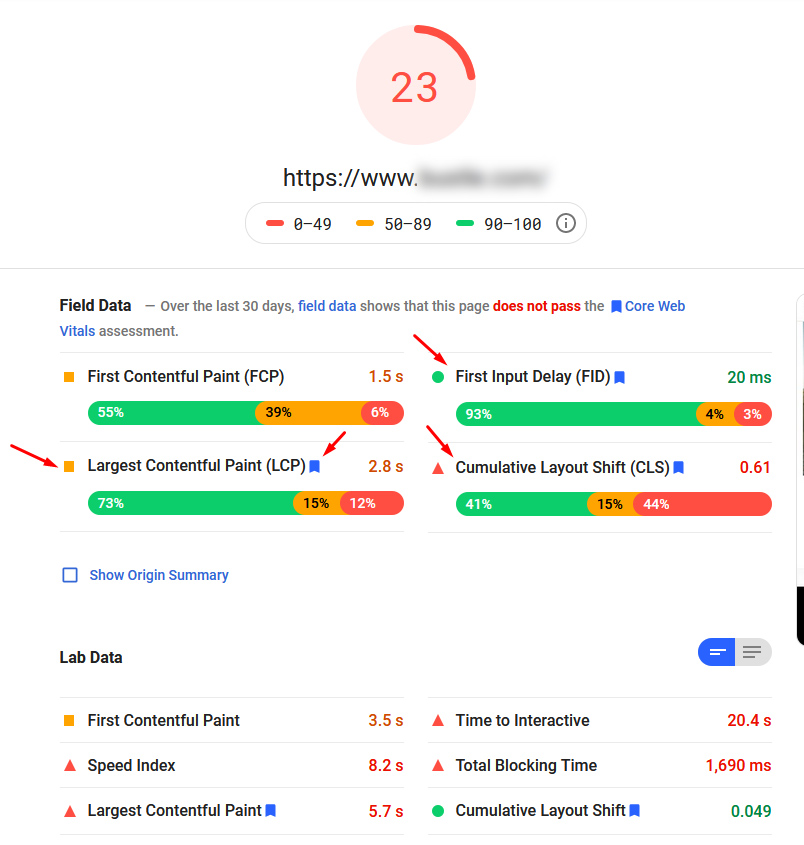 PageSpeed Insights report showing LCP for a WordPress landing page