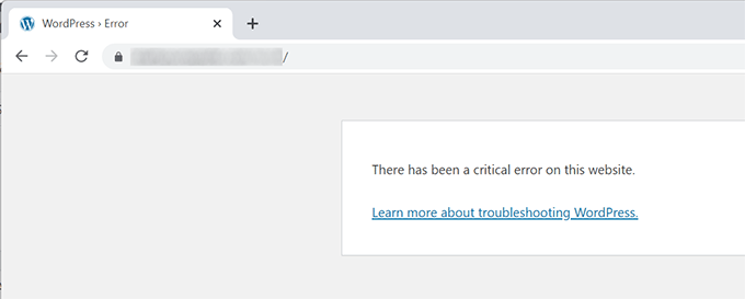 WordPress critical error message after a theme customization change