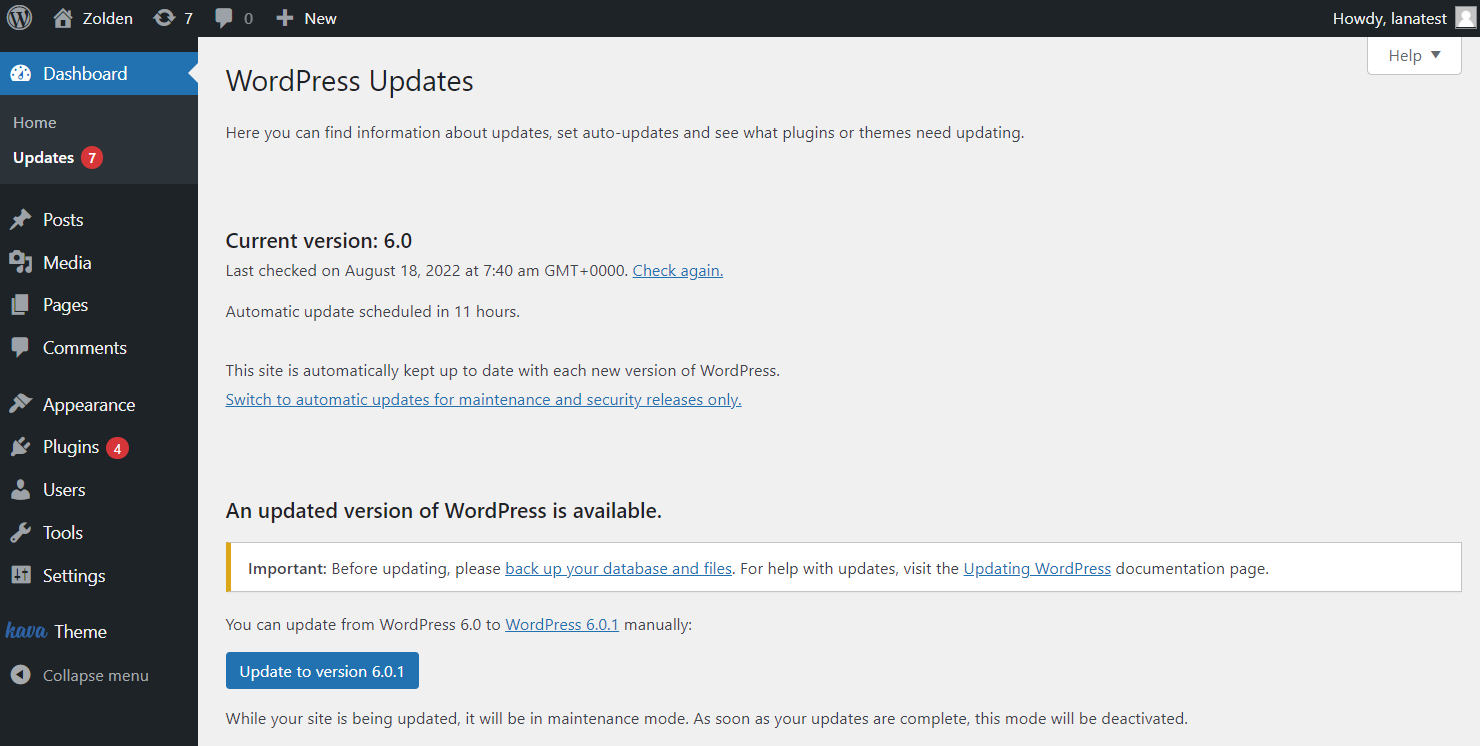 WordPress maintenance package updates screen listing pending plugin updates