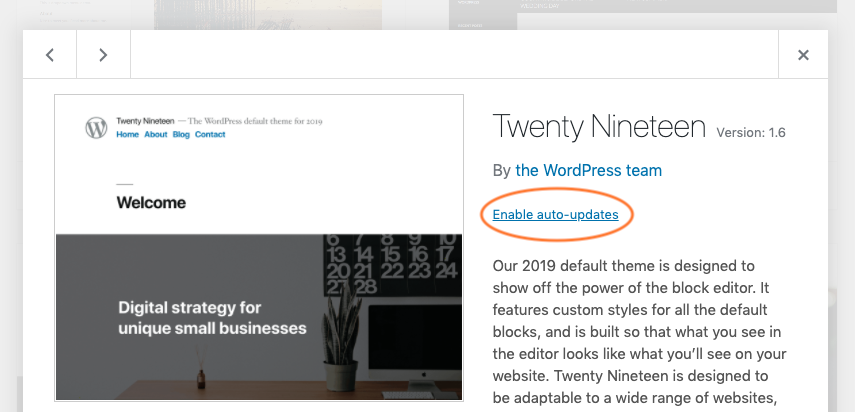 WordPress theme updater auto-update toggle in Appearance Themes